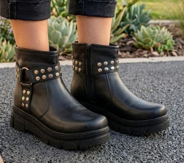 Bota 231